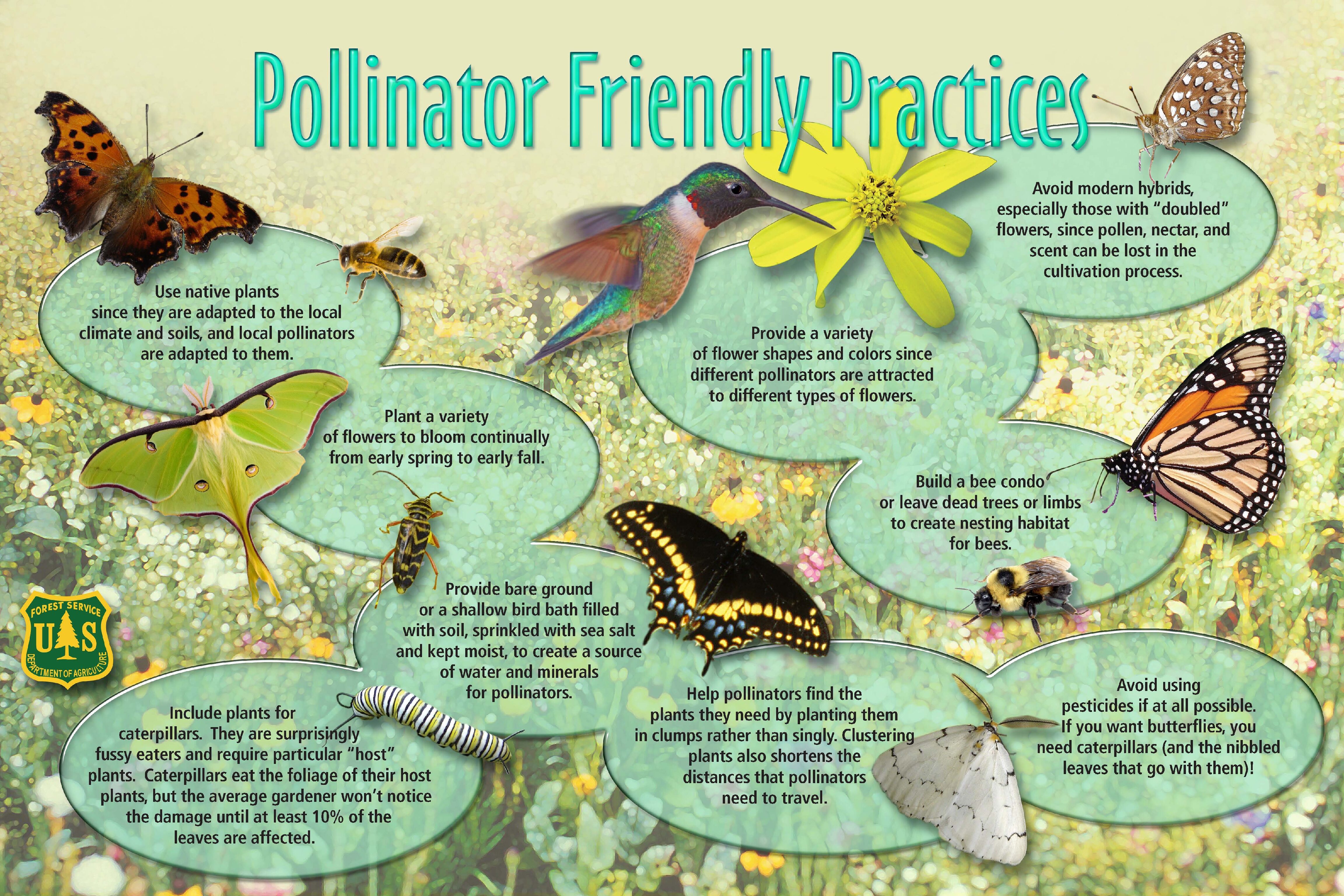 Urban Pollinator Initiative – Lake County Conservation District
